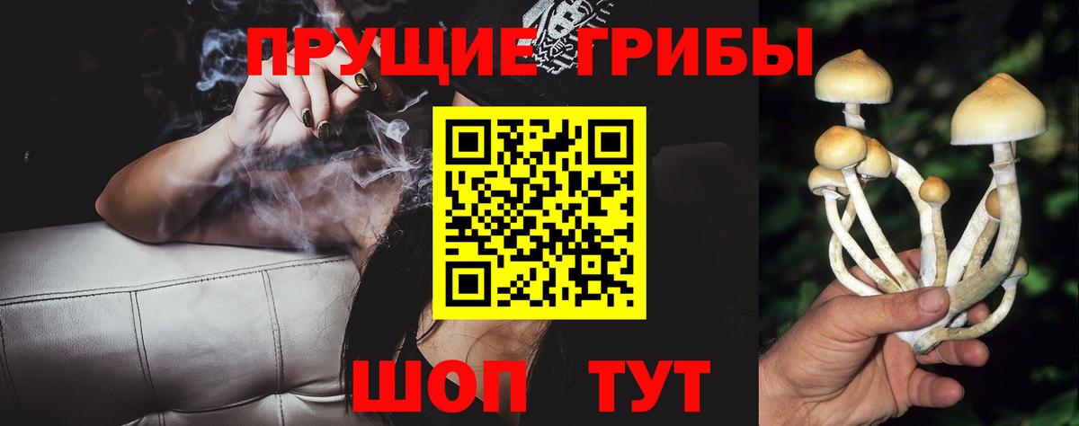 закладки  Вход с VPN  Пенза  Псилоцибиновые грибы ЛСД 